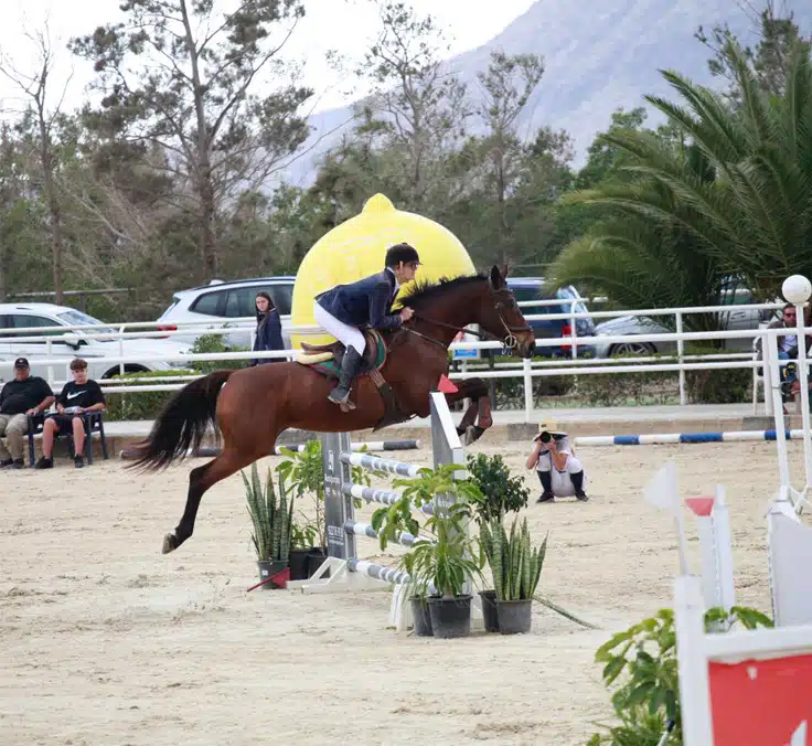 María Cortezo Castillo, quando ser surda não impede o acesso à educação e a um emprego de qualidade