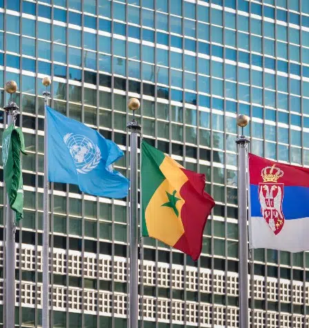 Alianzas y relaciones institucionales 448 Alianzas 448