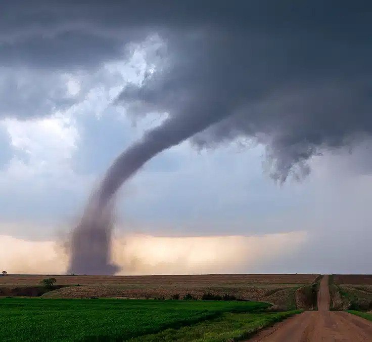 O que são os títulos de catástrofe?