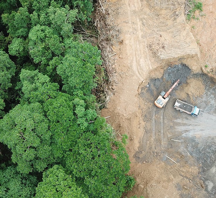 Enrique Segovia/WWF: “Temos uma relação disfuncional com a natureza”