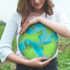 Fomento del emprendimiento verde 245 Fomento del emprendimiento verde 245