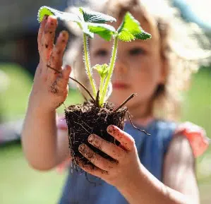 LIDERAMOS EL CAMBIO TRANSFORMANDO NUESTROS PRODUCTOS 299 LIDERAMOS EL CAMBIO TRANSFORMANDO NUESTROS PRODUCTOS 299