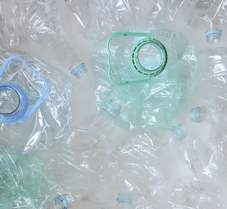 Um escritório para ODS: setor privado, essencial para preservar nosso capital natural