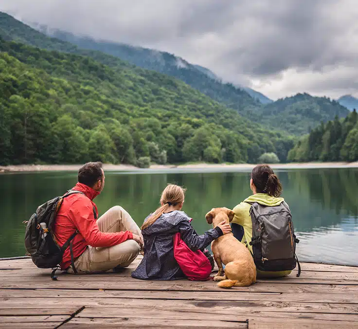Seguros de vida: um mosaico de coberturas para sua tranquilidade