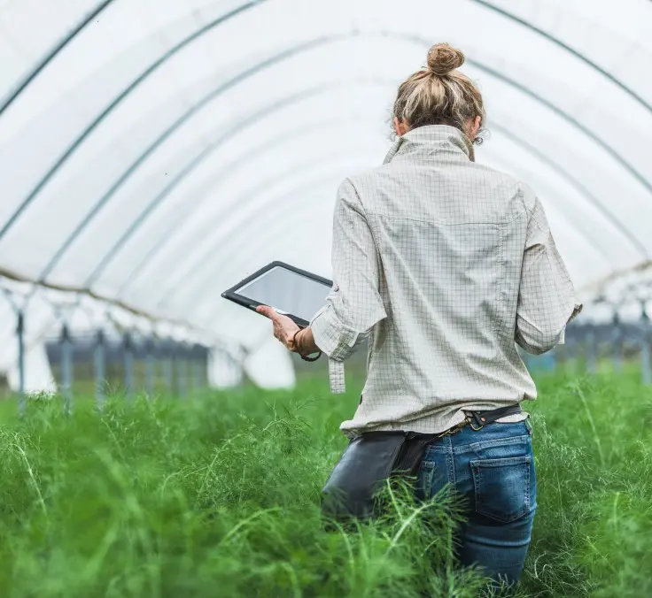O desafio de alcançar uma agricultura justa e sustentável