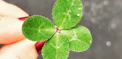 ahorro-plan-fidelizacion-treboles-400x195