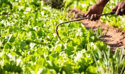 gsi-400x236 Acuerdo con Puy du Fou para el proyecto de un parque temático en Toledo