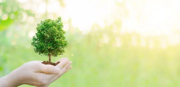 El equipo de MAPFRE AM recibe el certificado internacional de analista ESG El equipo de MAPFRE AM recibe el certificado internacional de analista ESG