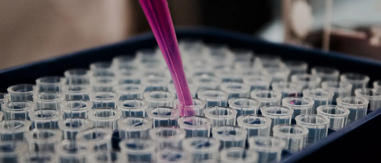 Mariano Esteban: “É necessário usar todos os meios clínicos para proteger a população, até que o ritmo da infecção desacelere e o organismo consiga superá-la”