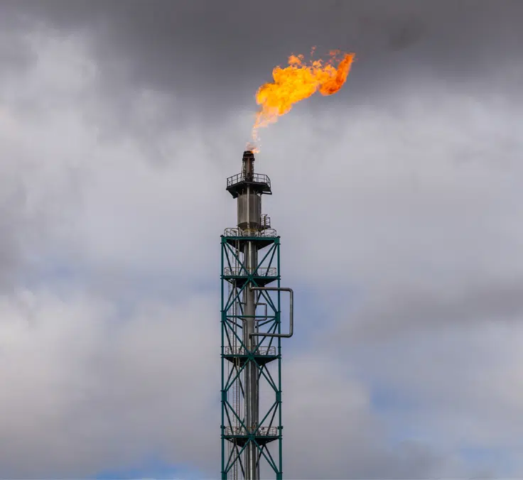 Financial newsletter