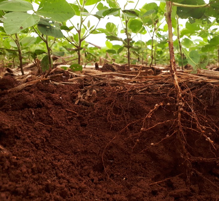 Financial newsletter