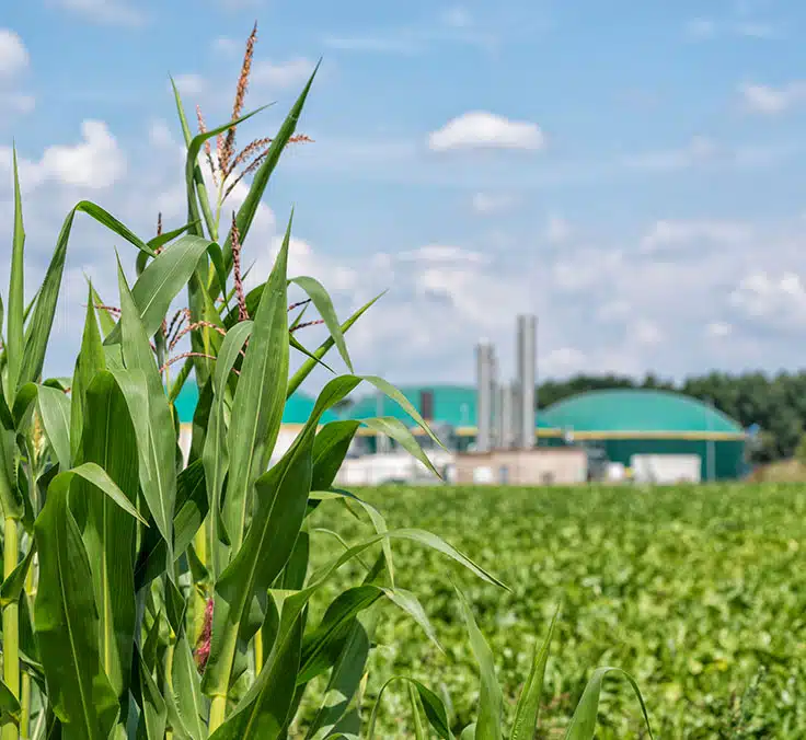 MAPFRE recebe o apoio do ICO para seu fundo de biometano