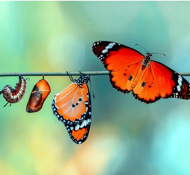 O setor de seguros confia na recuperação, impulsionando pela digitalização e a transformação sustentável