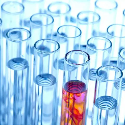 “Essa crise tem mostrado à sociedade que o setor farmacêutico é um colaborador indispensável do sistema de saúde”